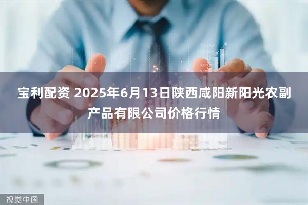 宝利配资 2025年6月13日陕西咸阳新阳光农副产品有限公司价格行情