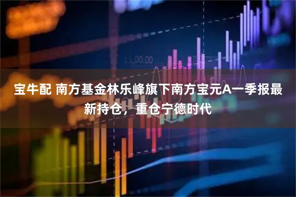宝牛配 南方基金林乐峰旗下南方宝元A一季报最新持仓，重仓宁德时代