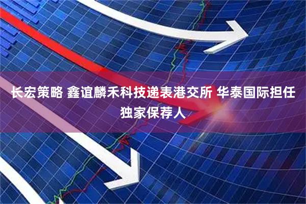 长宏策略 鑫谊麟禾科技递表港交所 华泰国际担任独家保荐人
