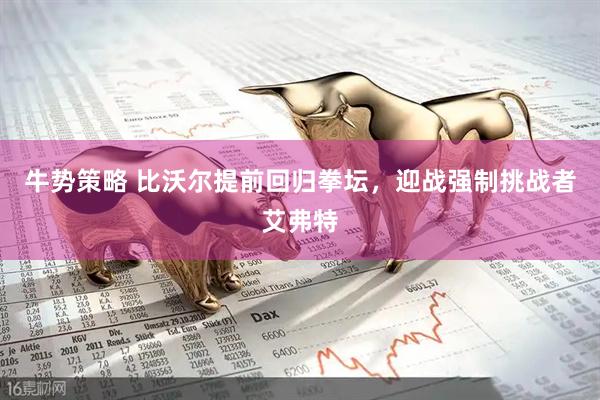 牛势策略 比沃尔提前回归拳坛，迎战强制挑战者艾弗特