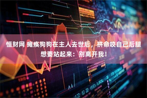 恒财网 瘫痪狗狗在主人去世后，拼命咬自己后腿想要站起来：别离开我！