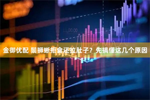 金御优配 鬃狮蜥拒食还拉肚子？先搞懂这几个原因