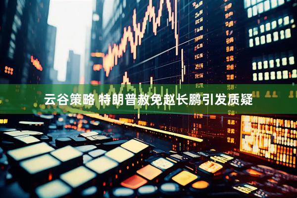 云谷策略 特朗普赦免赵长鹏引发质疑